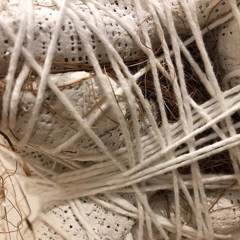 image of Moments in Time