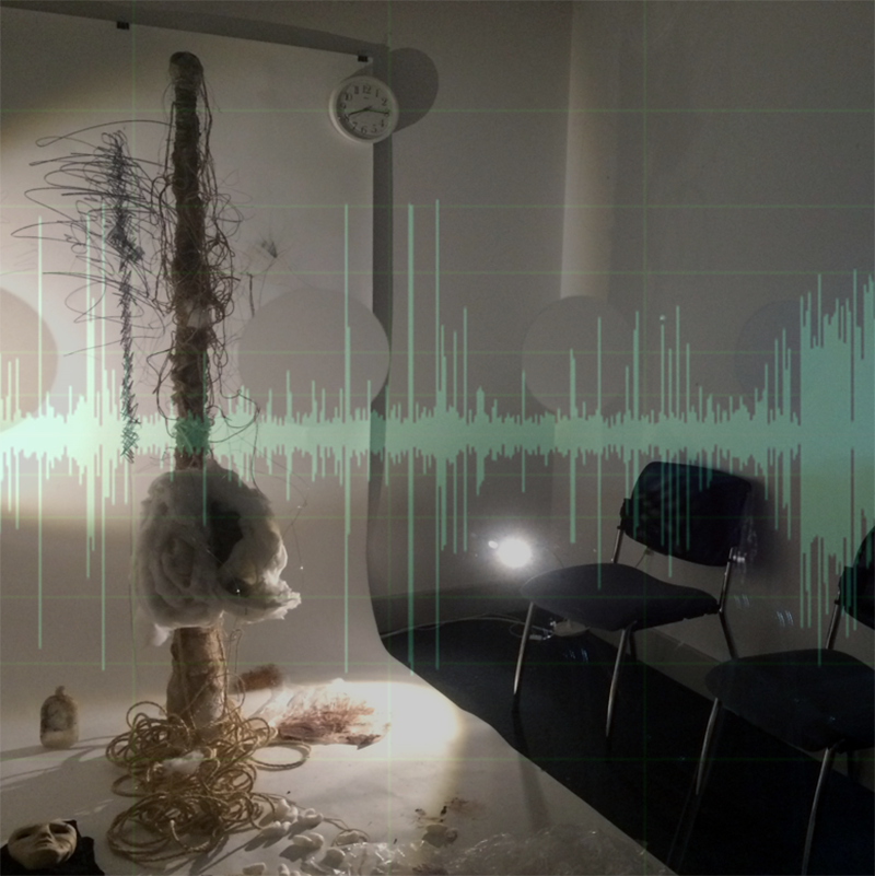 image of The Voice of its Making