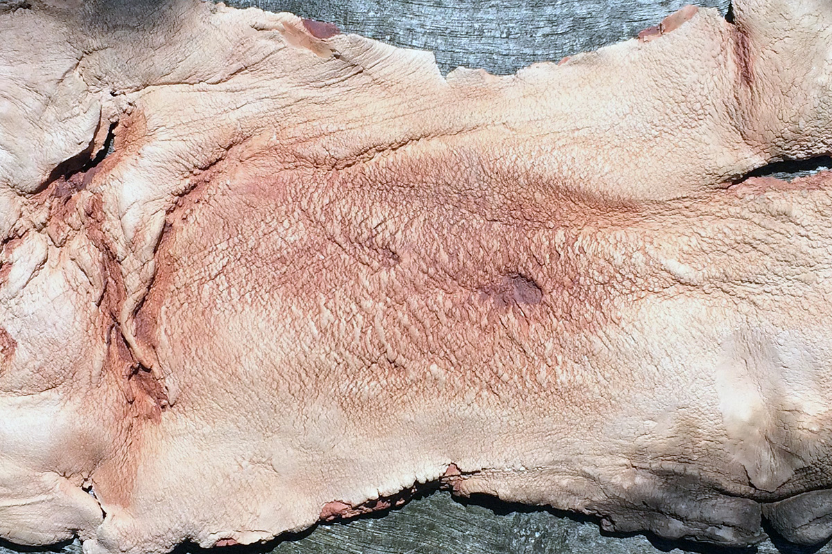 Roland Barthes Reading Group slide 5